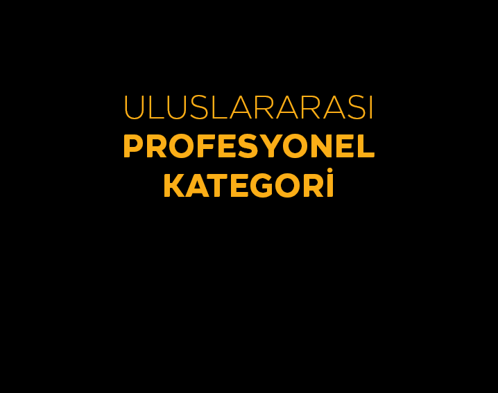 ULUSLARARASI PROFESYONEL KATEGORİ